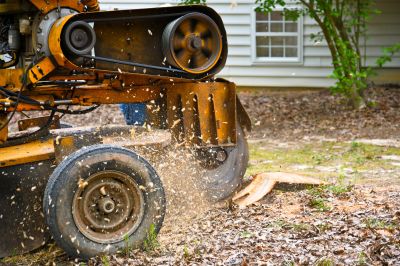 Professional Land Clearing Companies